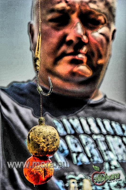 MeetCarp Romanian Awards 2013 (4) - 1017424hdrmode2-2.jpg